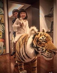 娱乐圈爆料老虎哥是谁啊,揭秘“老虎哥”的真实身份！